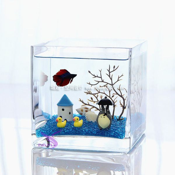 养鱼缸摆放注意事项