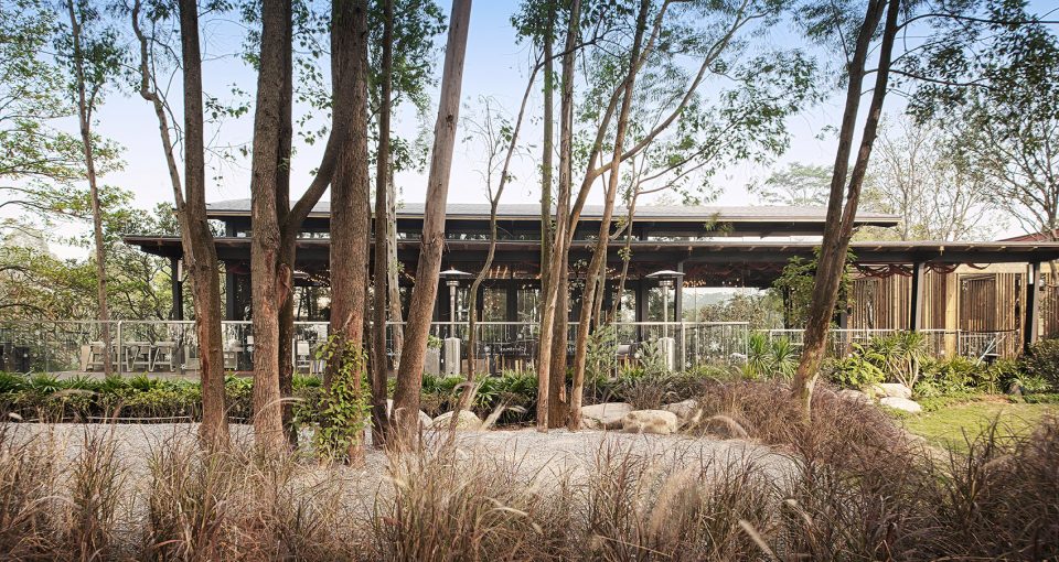 饭店设计效果图,饭店装修图片