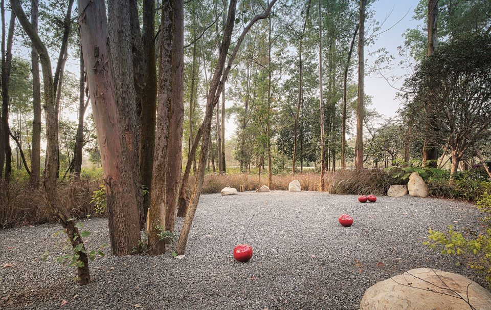 饭店装修案例图,饭店装修实景图