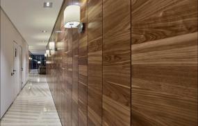 办公室黑色墙面装修效果图片