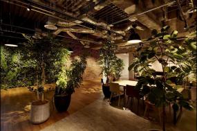 800平办公室图片大全