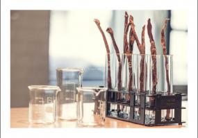 机械公司办公室图片装修效果图