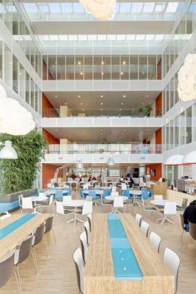 体育运动公司办公室图片装修效果图大全