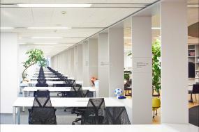 体育运动公司办公室装饰图片