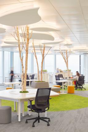 电影公司办公室最新室内装修实景图