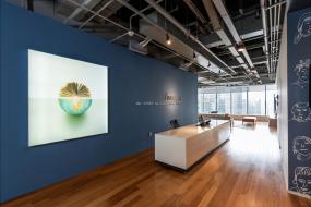 最新咨询顾问公司前台装饰咨询顾问图