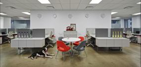 最新外国公司吊顶设计图片