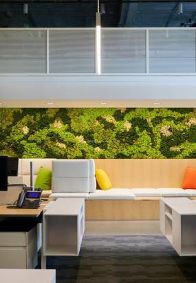 投资公司吊顶装修实物图片