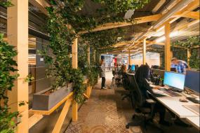 高档投资公司吊顶装修效果图