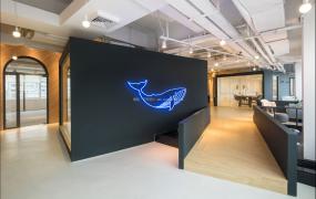 公司地面设计装修效果图片