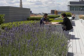 办公室户外休闲区装修设计效果图大全