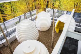 办公室电话间装修效果图