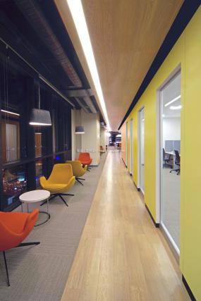 办公室橡木地板装饰设计图