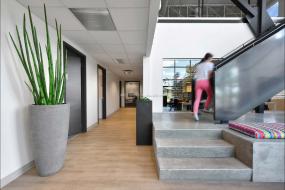 办公室竹木地板设计装修效果图