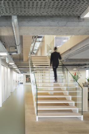 办公室进口木地板设计效果图