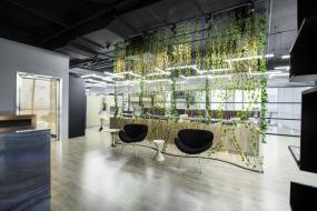 办公室实木地板材质装潢设计图片