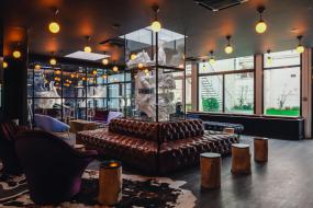 办公室榆木地板装饰装修效果图