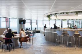 办公室植物装潢图片