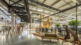 办公室植物装潢设计效果图片