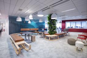 办公室植物装饰图片