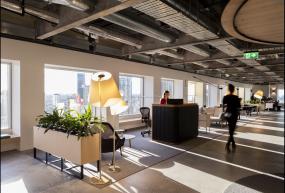 办公室植物装修高清图片