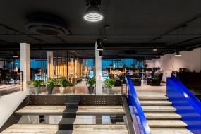 办公室植物装修实景图片