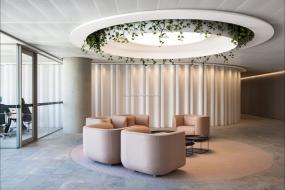 办公室植物装潢效果图片