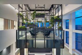 办公室植物装饰装修图片