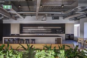 办公室植物装修高清效果图