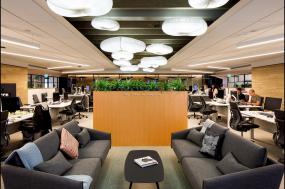 办公室植物装修效果图