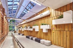 办公室绿植设计效果图