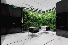 办公室绿色植物装饰装修图片