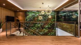 办公室绿色植物设计装饰效果图片