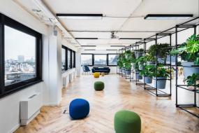 办公室盆栽装潢效果图片