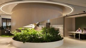 办公室盆栽装饰装修图片