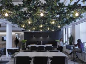 办公室盆栽设计装饰图片