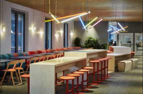 办公室盆栽装饰图片