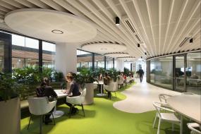 2018年办公室盆栽装修效果图