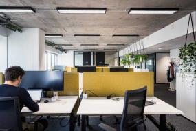 办公室盆栽装修实景图图片