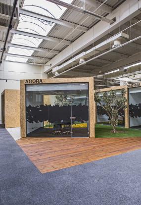 高端办公室盆栽装修图片