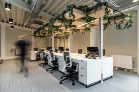 办公室盆栽设计效果图