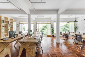 办公室风水植物设计装修效果图