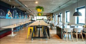 办公室盆栽装潢图片