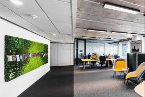 办公室盆栽装修实景图片