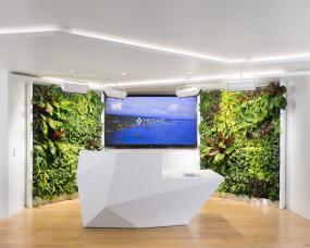 国外IT公司办公室装饰图片