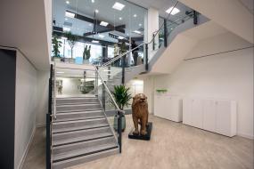 中型公司办公室设计装饰效果图片