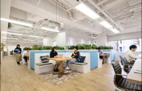 最新白色办公室装饰实景图