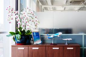 潮性办公室装修效果图片