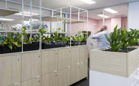 租赁公司办公室装修设计效果图片