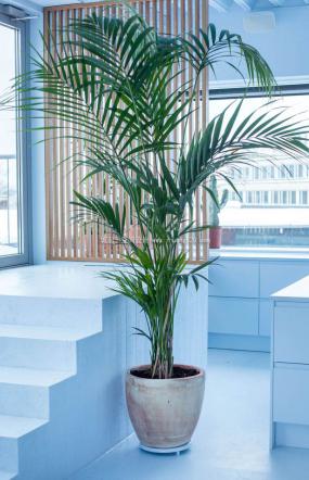 健康管理公司装修效果图